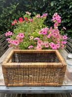 Rieten plantenbak, Tuin en Terras, Bloembakken en Plantenbakken, Overige materialen, Gebruikt, Minder dan 30 cm, Minder dan 60 cm