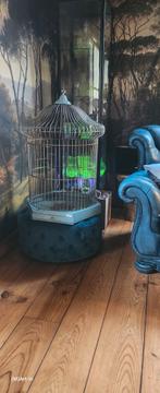 Grote retro/brocante/jaren 60  ijzeren vogelkooi., Ophalen, Zo goed als nieuw, Metaal, Vogelkooi