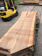 Iepen boomstambladen, Nieuw, Plank, Ophalen of Verzenden, 300 cm of meer
