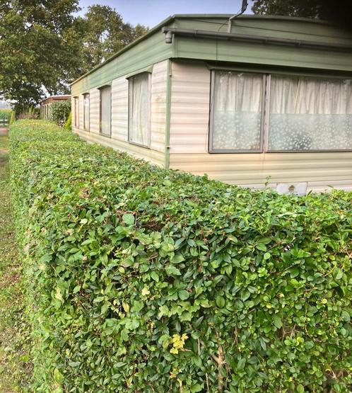 Nette caravan stacaravan Oostvoorne, Caravans en Kamperen, Stacaravans, Ophalen