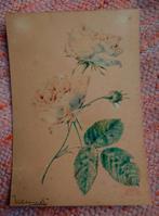 Willem I HEKKING (1796-1862)  Witte Rozen, aquarel ~1850, Ophalen of Verzenden