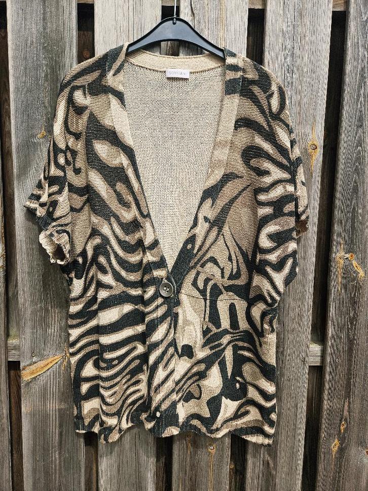 Oversized Vest Bonita met panter-print XL+, Kleding | Dames, Truien en Vesten, Zo goed als nieuw, Maat 46/48 (XL) of groter, Bruin