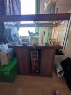 groot hamster terrarium met kast en extra's 100x40x50 cm, Dieren en Toebehoren, Ophalen, Gebruikt, Hamster