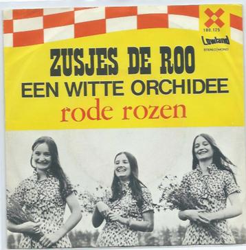 Zusjes de Roo- Een Witte Orchidee  beschikbaar voor biedingen