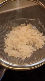 Gratis waterkefir korrels, Diversen, Ophalen