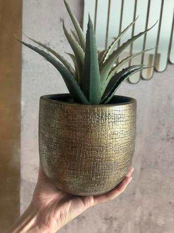 Gouden bloempot plantenbak beschikbaar voor biedingen
