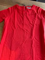 Sissy Boy Rode Jurk Ribstof Maat S, Ophalen of Verzenden, Zo goed als nieuw, Knielengte, Maat 36 (S)