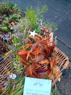 Kerststuk in houten schaal ( 51 cm ) groen van de bloemist, Ophalen of Verzenden