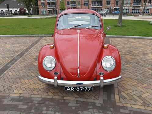 Volkswagen 1500 LIM 113 1966 Rood, Auto's, Volkswagen, Particulier, Overige modellen, Radio, Benzine, Hatchback, Handgeschakeld