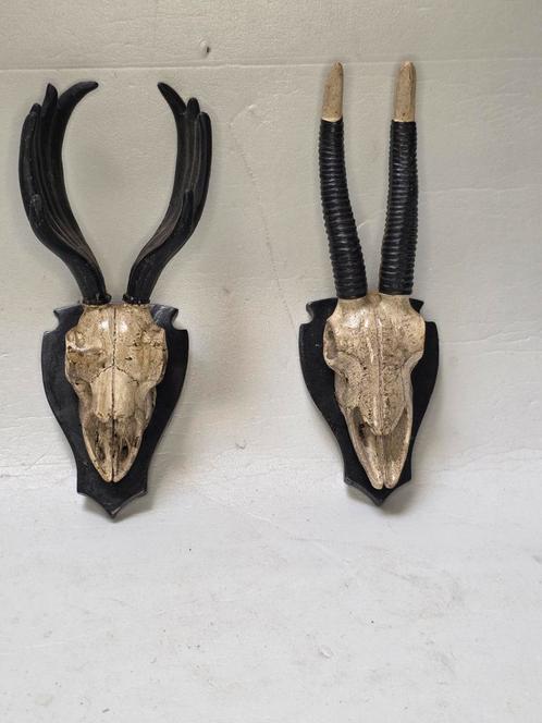 Oryx troffee replica, Antiek en Kunst, Antiek | Overige Antiek, Ophalen of Verzenden