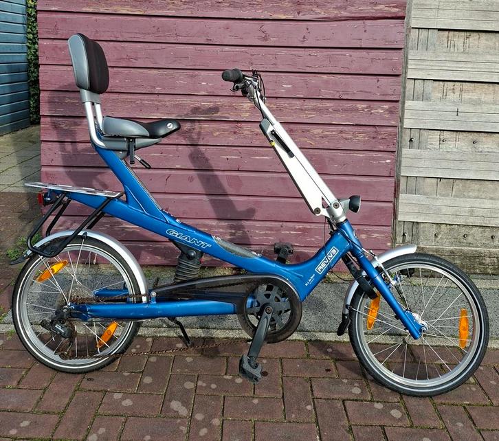 Gaint Revive ligfiets 21 speed sram versnellingen gripshift, Fietsen en Brommers, Fietsen | Ligfietsen, Overige merken, Ophalen of Verzenden