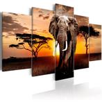 Afrika Olifant Zonsondergang 5 Luik Schilderij 100x50 Nieuw, Nieuw, Schilderij, Ophalen of Verzenden, 100 tot 125 cm