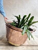 Unieke XXL koperen plantenpot / bloempot, Tuin en Terras, Bloempotten, Ophalen, -, -, Rond