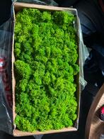 Doos Kunstmos - Nieuw!, Ophalen of Verzenden, Nieuw