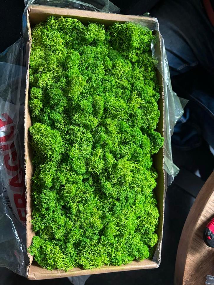 Doos Kunstmos - Nieuw!, Huis en Inrichting, Woonaccessoires | Kunstplanten en Kunstbloemen, Nieuw, Ophalen of Verzenden