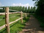 Post and Rail/Paardenafrasering van kastantjehout!, Nieuw, Overige typen, Hout, Ophalen