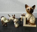 Vintage poezenbeeldjes Siamees Siamezen Siamese poes beeldje, Verzamelen, Beelden en Beeldjes, Ophalen of Verzenden, Gebruikt
