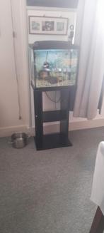 Aquarium met guppen, Dieren en Toebehoren, Vissen | Aquariumvissen