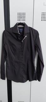 Cavallaro Napoli Blouse - Maat 42, Bruin, Ophalen of Verzenden, Gedragen, Cavallaro Napoli