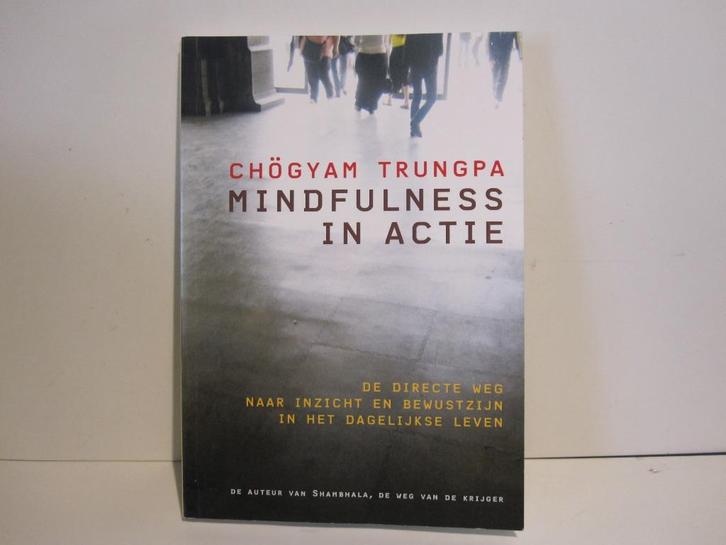 Chögyam Trungpa				Mindfulness in actie, Boeken, Esoterie en Spiritualiteit, Zo goed als nieuw, Overige typen, Spiritualiteit algemeen