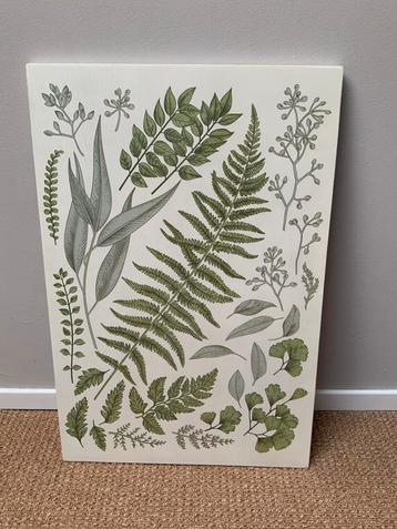 Wandpaneel print op hout 40 x 60 cm ALLEEN OPHALEN beschikbaar voor biedingen