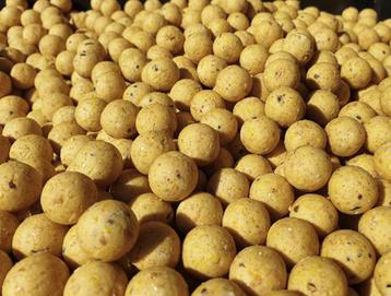 RLB Cell boilies freezer readymade boilie the cell beschikbaar voor biedingen
