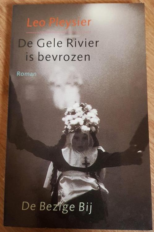 De Gele Rivier is bevroren - Leo Pleysier - ALS NIEUW, Boeken, Literatuur, Zo goed als nieuw, Ophalen of Verzenden