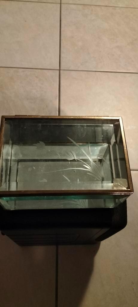 Glazen Sieradendoosje met Gravure, Huis en Inrichting, Woonaccessoires | Kisten, Minder dan 50 cm, Minder dan 50 cm, Ophalen of Verzenden
