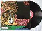 Greg Sage - Straight ahead, Ophalen of Verzenden, Gebruikt, 12 inch, Overige genres