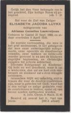 Elisabeth Jacoba Luijkx 1869 Gastel + 1926 Gastel, 56 jaar, Verzenden, Bidprentje