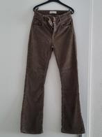 Vintage corduroy broek van Cup of Joe, Ophalen of Verzenden, Zo goed als nieuw, Groen