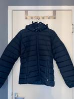 Blue Napapijri coat, Kleding | Dames, Jassen | Winter, Nieuw, Blauw, Maat 38/40 (M), Napapijri