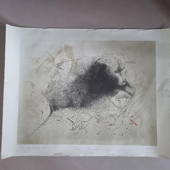 Ets Hond van Jaromski 1982, Antiek en Kunst, Kunst | Etsen en Gravures, Ophalen of Verzenden