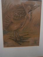 CHRIS Le Roy, Tekening /Litho v/e ROERDOMP, Antiek en Kunst, Kunst | Litho's en Zeefdrukken, Ophalen of Verzenden