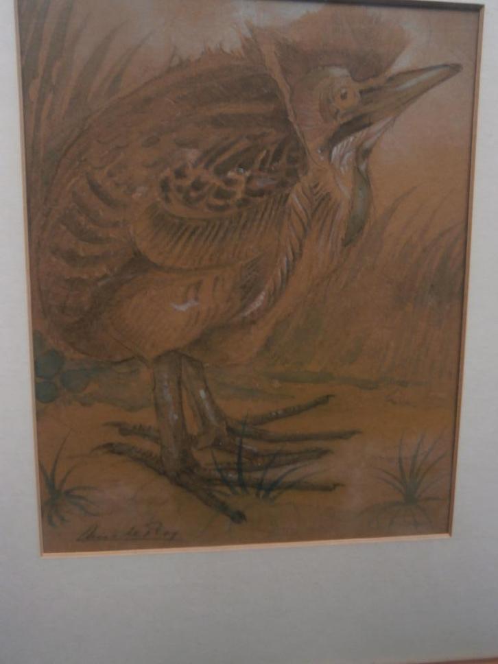 CHRIS Le Roy, Tekening /Litho v/e ROERDOMP, Antiek en Kunst, Kunst | Litho's en Zeefdrukken, Ophalen of Verzenden