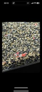 Mooie red rili garnalen, Kreeft, Krab of Garnaal