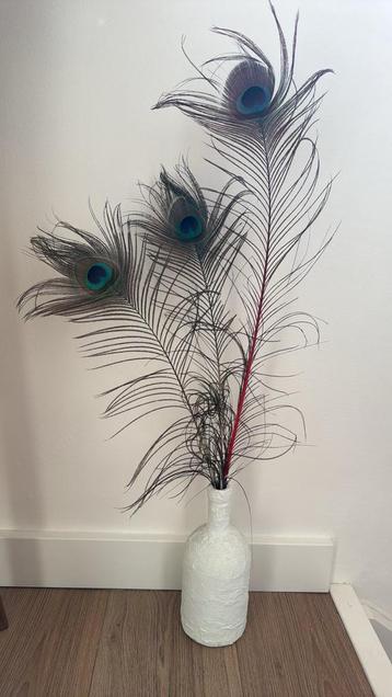 3 grote pauweveren met vaas beschikbaar voor biedingen