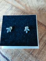 pandora oorbellen, Sieraden, Tassen en Uiterlijk, Oorbellen, Ophalen of Verzenden, Gebruikt, Zilver, Zilver