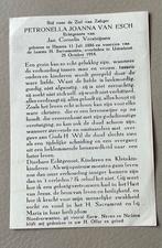 Petronella Joanna van Esch 1886-1954 Haaren Udenhout, Ophalen of Verzenden, Bidprentje