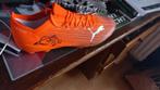 Gesigneerde Kudus Puma Schoen + COA, Ophalen