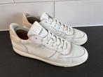 Floris van Bommel sneakers maat 41, Kleding | Dames, Schoenen, Floris van Bommel, Wit, Floris van Bommel, Floris van Bommel