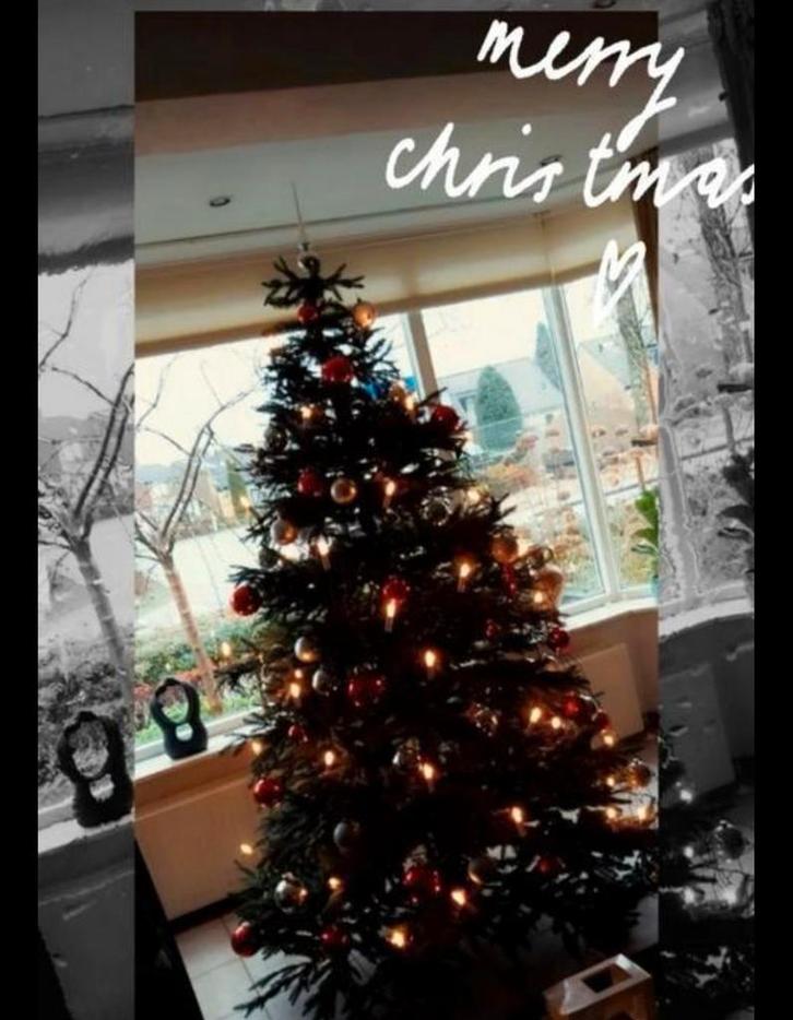 Grote kerstboom, Diversen, Kerst, Zo goed als nieuw, Ophalen of Verzenden