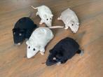 IKEA Gosig rat, Kinderen en Baby's, Speelgoed | Knuffels en Pluche, Ophalen of Verzenden, Overige typen