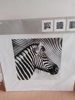te koop 3 x nieuwe Ikea poster zebra 50 x 50 cm, Huis en Inrichting, Ophalen, Nieuw