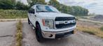Ford F-150, 360 pk, Bedrijf, 6 stoelen, Geïmporteerd