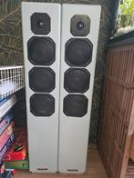 Visaton luidsprekers - set van 2, Ophalen, 60 tot 120 watt, Front, Rear of Stereo speakers, Overige merken