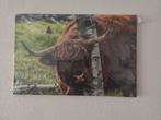Schotse Hooglander Canvas 60x40 - Nieuw in Folie!, Nieuw, Ophalen of Verzenden, Print, Minder dan 50 cm