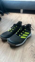 Adidas adizero schoenen grijs, Adidas, Overige typen, Ophalen of Verzenden, Zo goed als nieuw