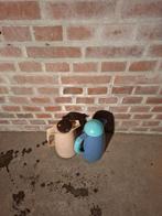 Thermoskan 2 soorten, Ophalen of Verzenden, Gebruikt