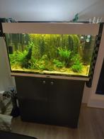 Juwel Rio 125 compleet, Dieren en Toebehoren, Ophalen, Gebruikt, Gevuld zoetwateraquarium